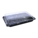 Sushi Container Plastic with Lids